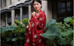 外交官秦纲被策反了吗